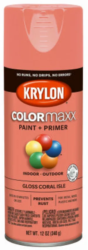 12 OZ Coral GLS Paint