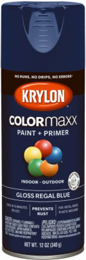 12 OZ Rega BLU GLS Paint