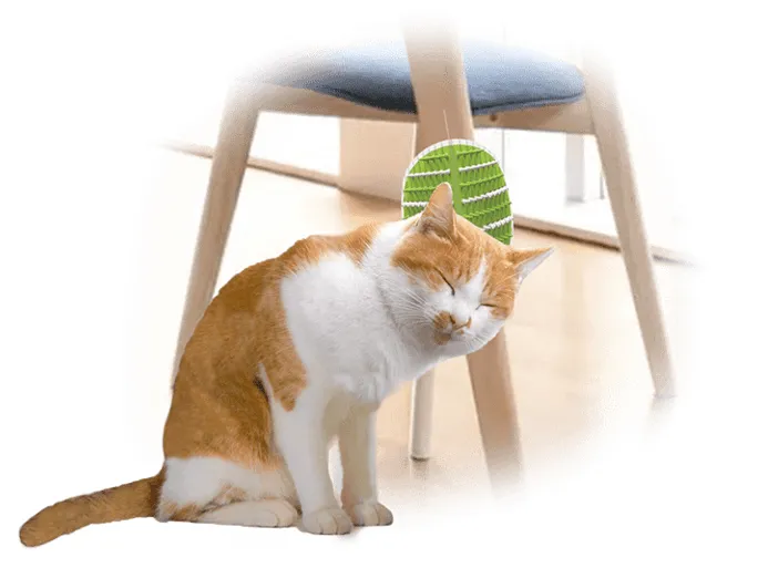 AFP Lifestyle 4 Pet-2 In 1 Groomer