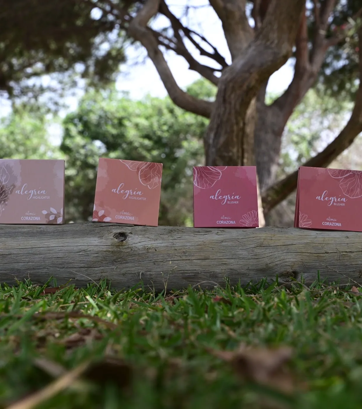 Alegría x Alma Collection - Powder bronzer - Brontorno