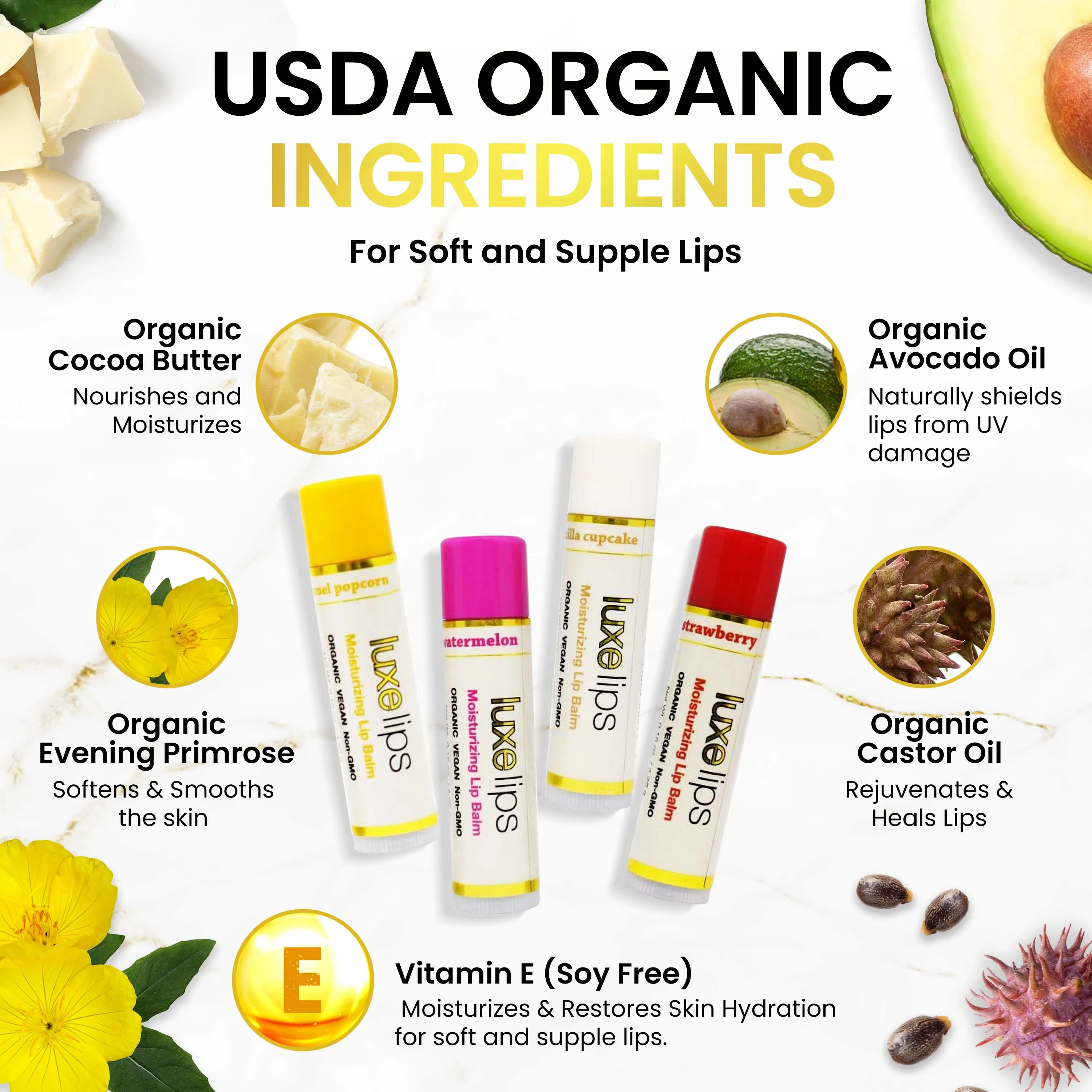 Beeswax Free, Nut Free Lip Balm - Luxe Lips - Wacky Watermelon