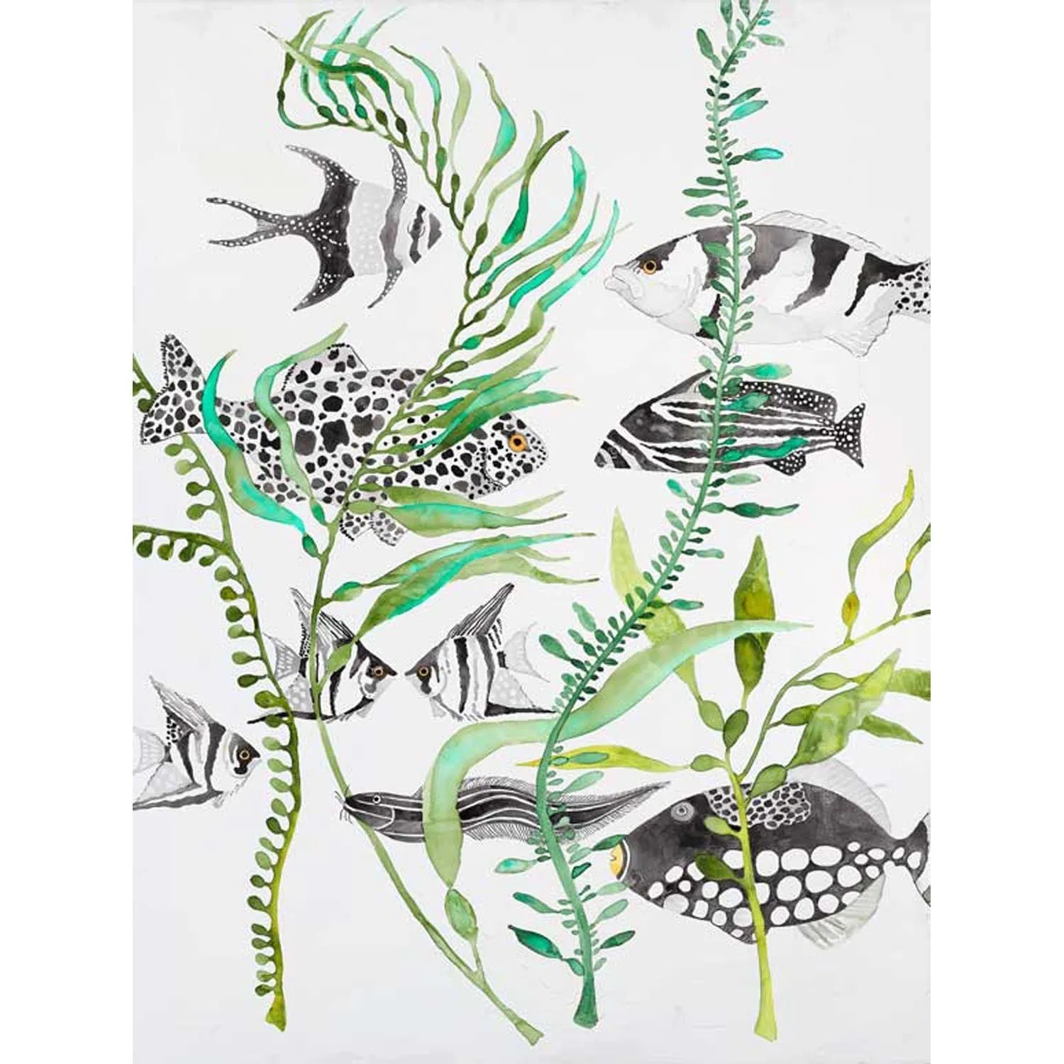 Black And White Fish Canvas Wall Art