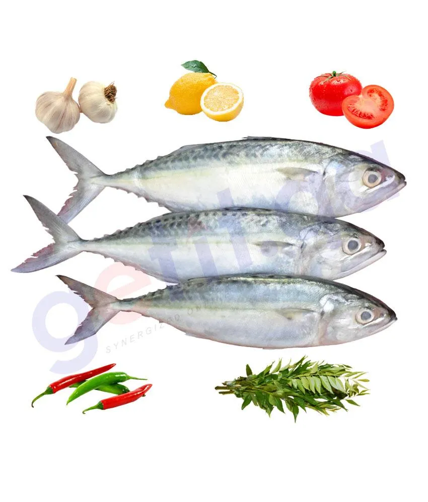 MACKEREL AYALA