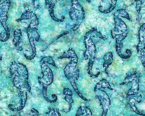 Oceana-Seahorse Aqua