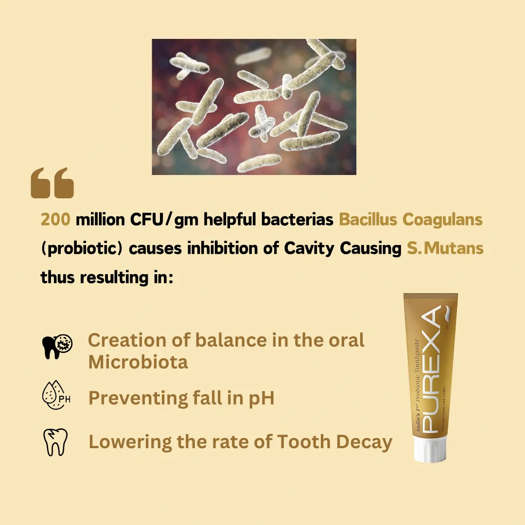 Probiotic Toothpaste (Buy 2 Get 5)