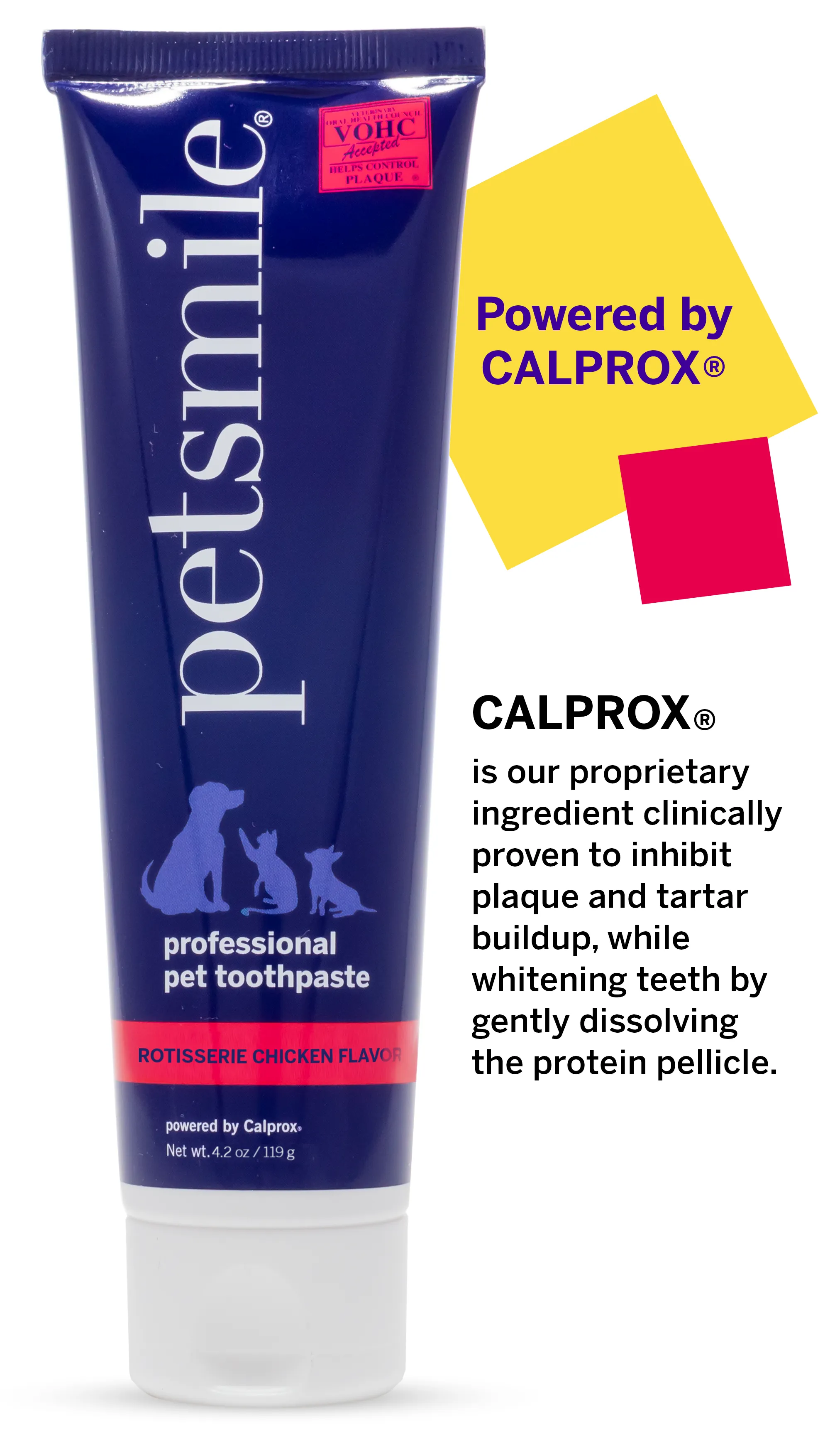Professional Pet Toothpaste - Rotisserie Chicken Flavor - Large