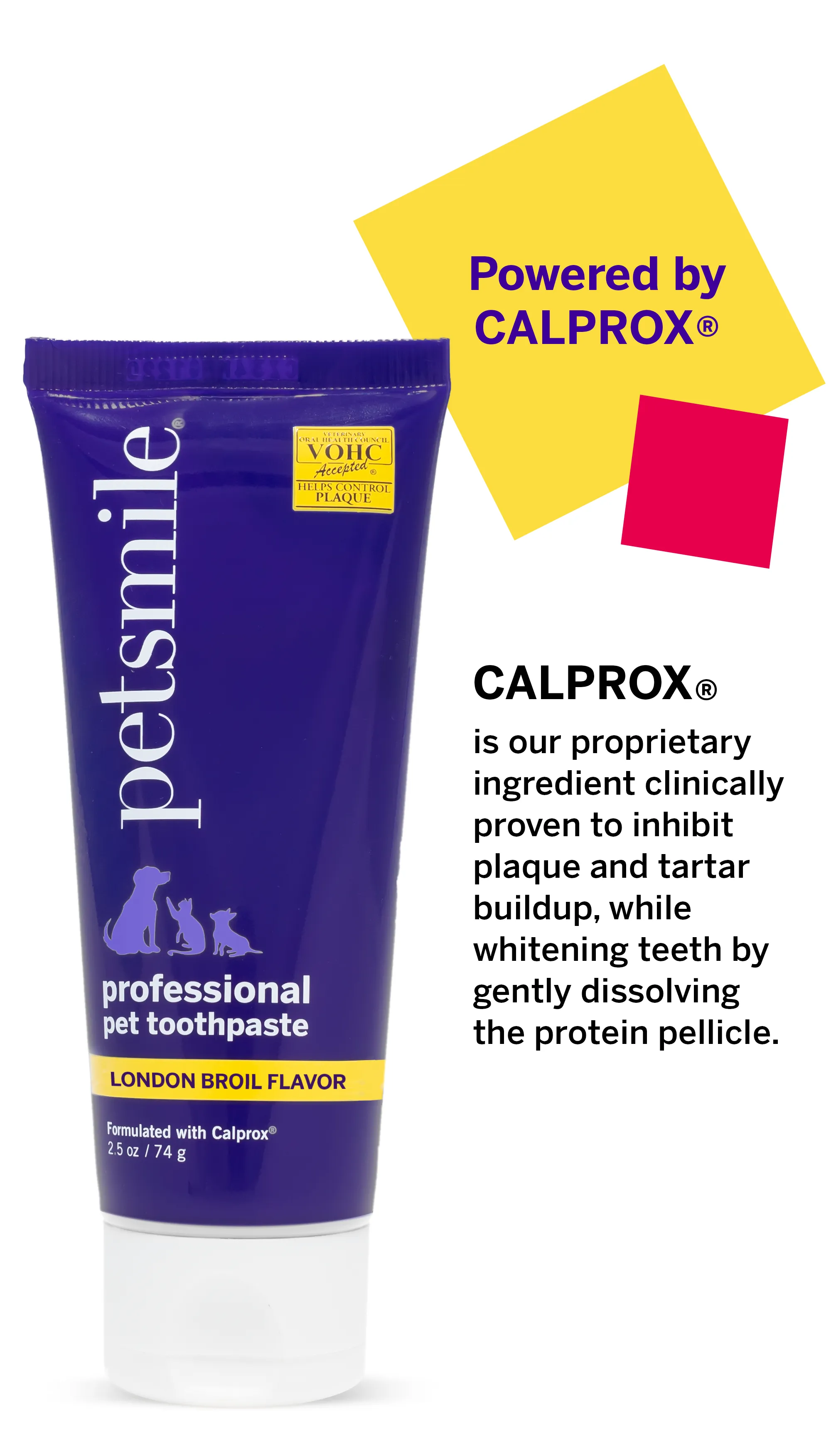 Professional Toothpaste London Broil Small & Professional Pet Toothbrush